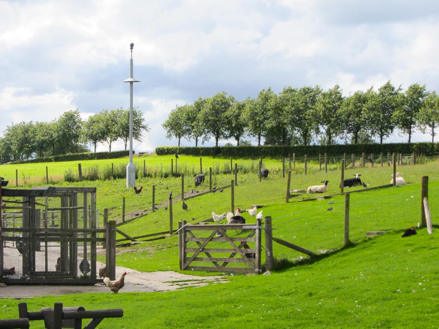 Outside area of State Hospital Animal Assisted Therapy Centre